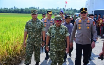 Kodam XIX Tuanku Tambusai Gelar Panen Raya di Bengkalis, Kasdam Ikuti Vidcon Bersama Presiden RI