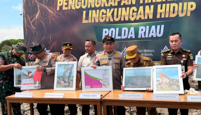 Kapolda Riau Datangi Lokasi Perusakan Mangrove Seluas 118 Hektare di Rohil, 2 Pelaku Ditangkap