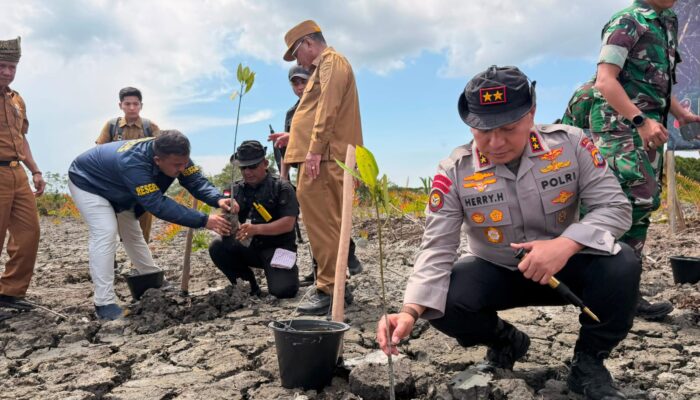 Kapolda Riau Tanam Kembali Hutan Mangrove yang Dirusak di Rohil