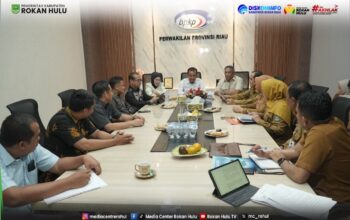Sinergikan Tata Kelola Aset dan Pinjaman Daerah, Pemkab dan DPRD Rohul Berkonsultasi ke BPKP Riau
