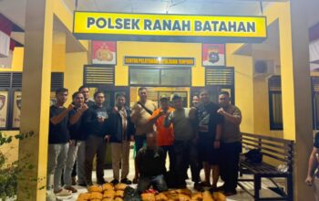 Tim Ditresnarkoba Polda Sumbar dan Polres Pasbar Gagalkan Peredaran Narkotika, 30 Paket Ganja Kering Siap Edar Disita 