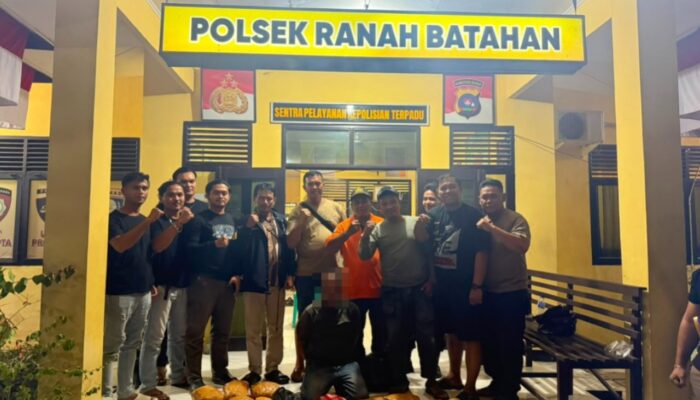 Tim Ditresnarkoba Polda Sumbar dan Polres Pasbar Gagalkan Peredaran Narkotika, 30 Paket Ganja Kering Siap Edar Disita 