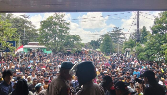Ribuan Penambang Bergerak! Pembelian Timah Terhenti, Ekonomi Masyarakat Terancam