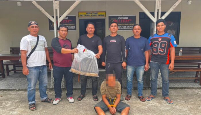 Seorang Lelaki di Pasbar Diringkus Polisi, Diduga Aniaya Ibu Kandung dan Seorang Nenek Hingga Meninggal Dunia