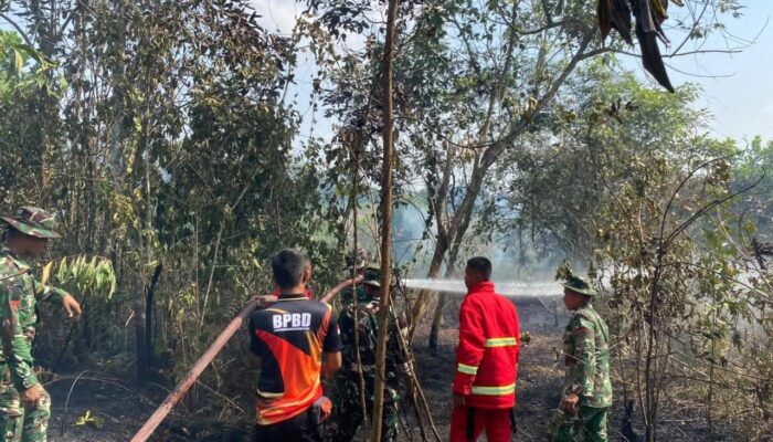 Danyonif TP 952/IB Kerahkan Personel untuk Mengatasi Kebakaran Hutan di Desa Simpang Padang