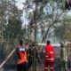 Danyonif TP 952/IB Kerahkan Personel untuk Mengatasi Kebakaran Hutan di Desa Simpang Padang