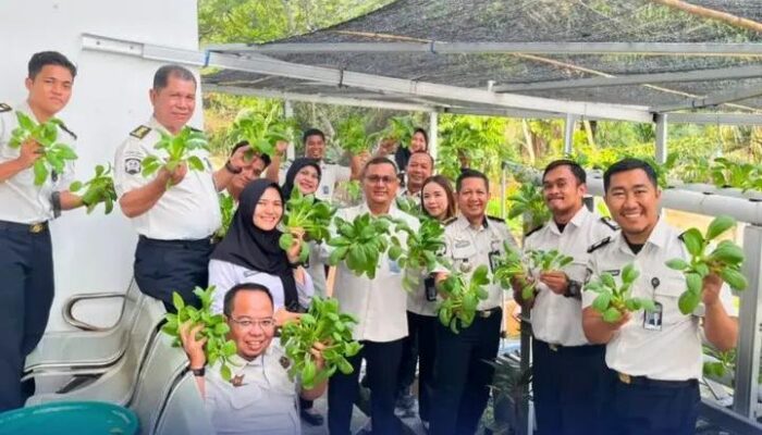 Panen Pakcoy, Wujudkan Semangat Ketahanan Pangan di Kanwil Ditjenpas Riau