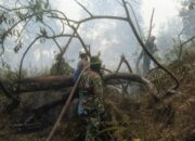 Selamatkan Kawasan Konservasi, TNI dan Tim Gabungan Perkuat Operasi Pemadaman Karhutla di SM Kerumutan
