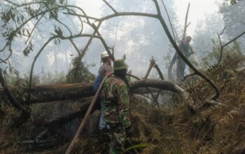 Selamatkan Kawasan Konservasi, TNI dan Tim Gabungan Perkuat Operasi Pemadaman Karhutla di SM Kerumutan