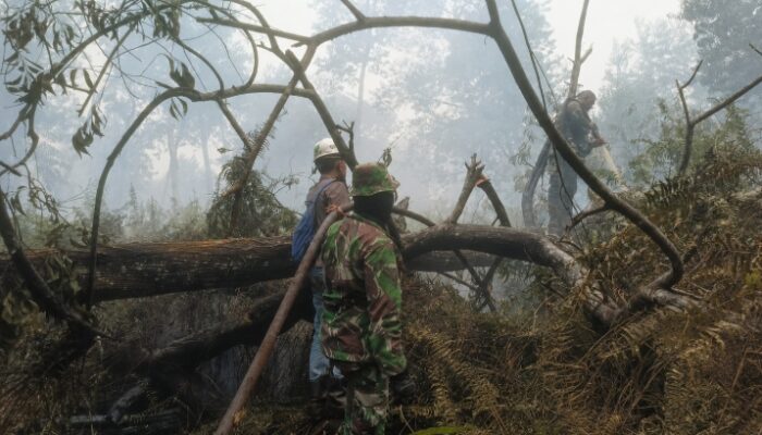 Selamatkan Kawasan Konservasi, TNI dan Tim Gabungan Perkuat Operasi Pemadaman Karhutla di SM Kerumutan