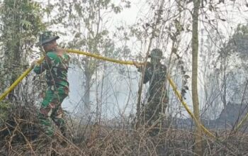 Sinergi TNI-Polri dan Tim Gabungan Bergerak Cepat Atasi Kebakaran Hutan dan Lahan di Rimba Panjang