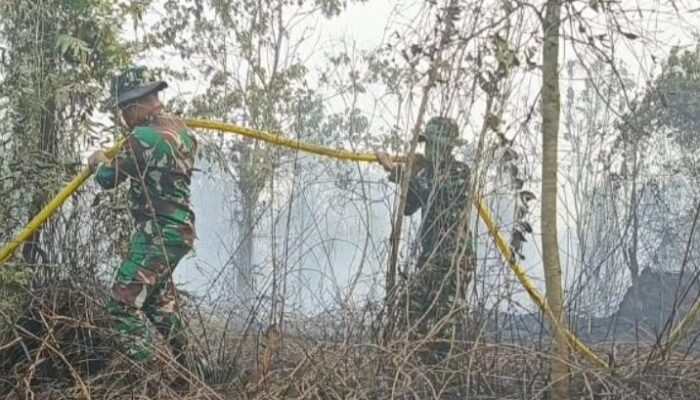 Sinergi TNI-Polri dan Tim Gabungan Bergerak Cepat Atasi Kebakaran Hutan dan Lahan di Rimba Panjang
