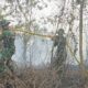 Sinergi TNI-Polri dan Tim Gabungan Bergerak Cepat Atasi Kebakaran Hutan dan Lahan di Rimba Panjang