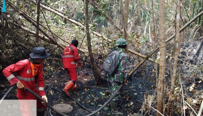 Cegah Api Kembali Muncul, Kodam XIX/Tuanku Tambusai Lanjutkan Pendinginan Karhutla Inhu