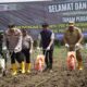 PTPN IV PalmCo Dorong Peremajaan Sawit Rakyat Disertai Tanam Padi Gogo di Asahan
