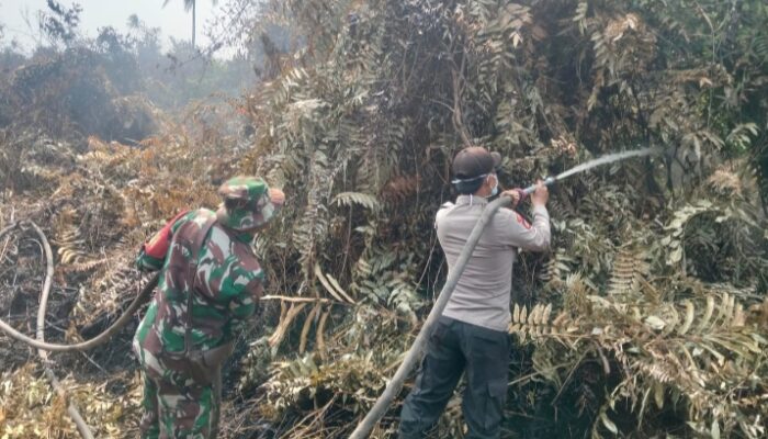Kodam XIX/Tuanku Tambusai Intensifkan Pendinginan Karhutla di Sungai Beringin