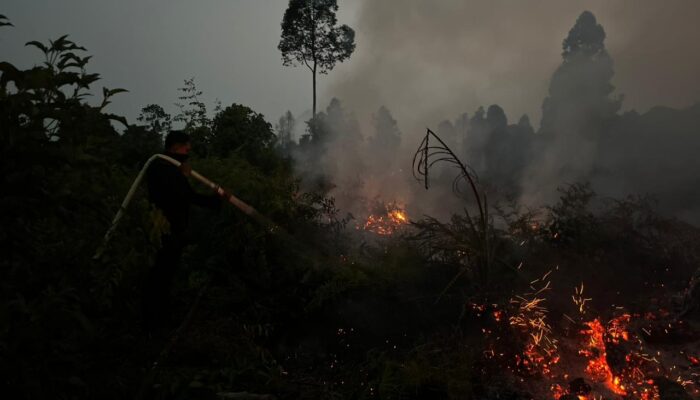 Tak Kenal Waktu, Brimob Riau Berjibaku Padamkan Karhutla di Meranti hingga Malam