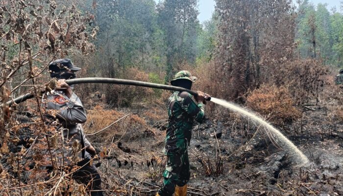 Kodam XIX/Tuanku Tambusai Intensifkan Pendinginan Karhutla Pelalawan, 966,4 Hektare Lahan Telah Dipadamkan