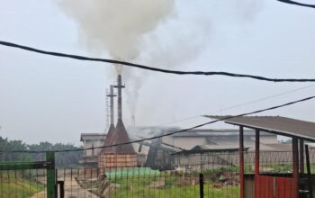 Saat Anak-Anak Dipaksa Belajar dari Rumah karena Kabut Asap, Pembakaran di PT FAA Terpantau Tetap Berlangsung