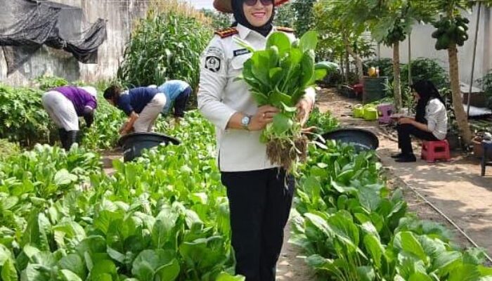 Kalapas Perempuan Pekanbaru Pantau Lahan Ketahanan Pangan, Pastikan Budidaya Sayuran Terus Produktif