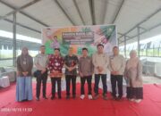 Panen Raya Ubi di Riau, DPP Tani Merdeka Dorong Pembangunan Pabrik Ubi Untuk Perkuat Ekonomi Petani 