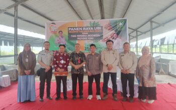 Panen Raya Ubi di Riau, DPP Tani Merdeka Dorong Pembangunan Pabrik Ubi Untuk Perkuat Ekonomi Petani 