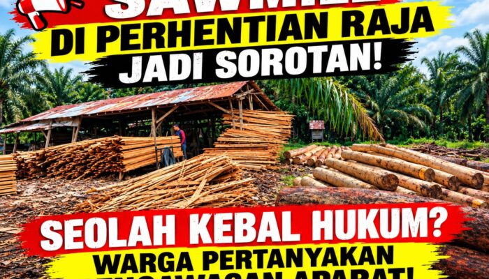 Sawmill di Perhentian Raja Jadi Sorotan, Warga Pertanyakan Kinerja APH Seolah Kebal Hukum..!!